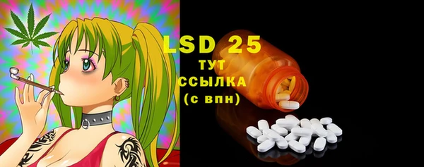 ECSTASY Алзамай