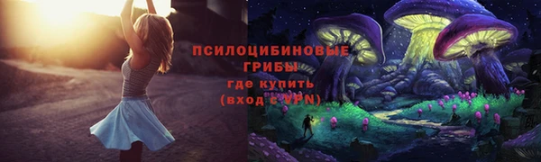 ECSTASY Алзамай