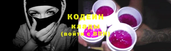 ECSTASY Алзамай