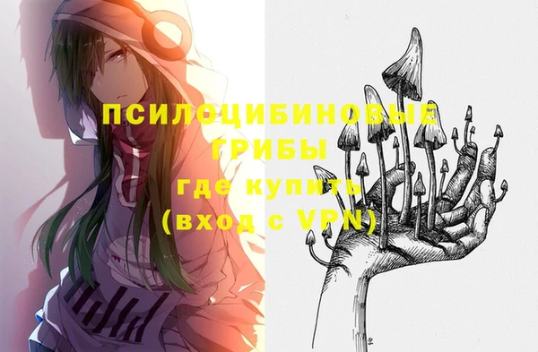 ECSTASY Алзамай