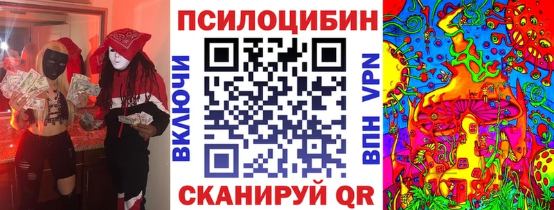 Псилоцибиновые грибы GOLDEN TEACHER Серов